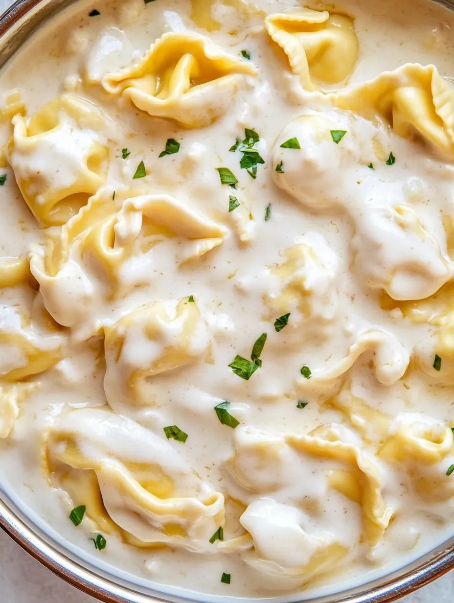 Cheesy tortellini pasta in a garlic Parmesan sauce inside a bowl.